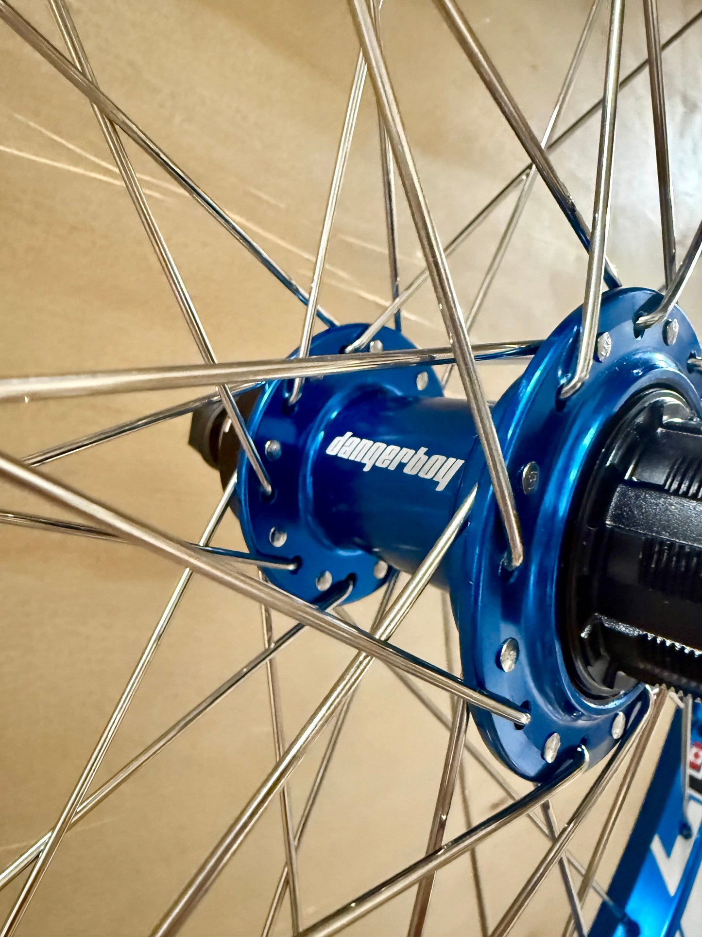 Pro 36h Dangerboy Wheelset Blue