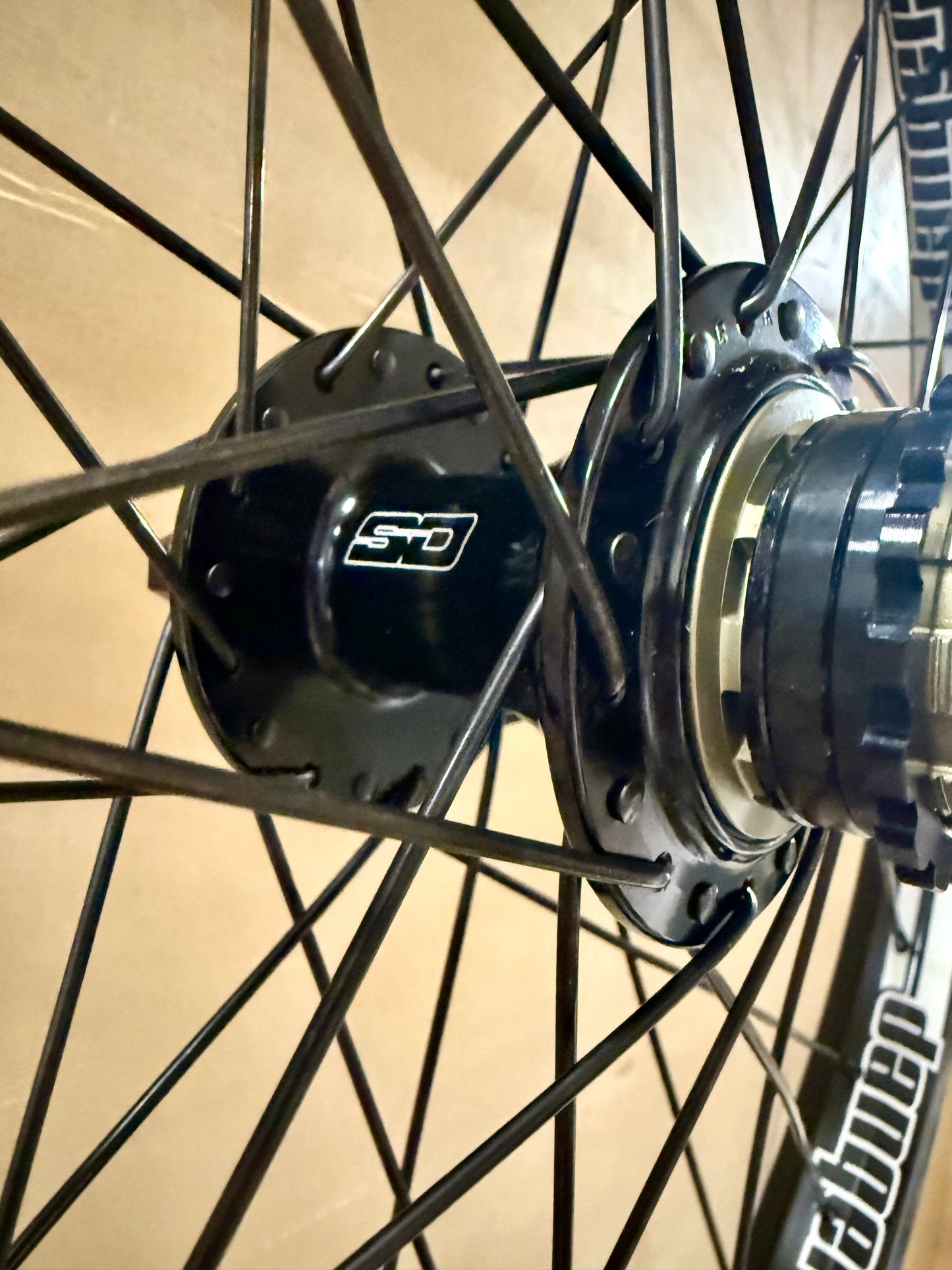 Pro Lite 36h Dangerboy Wheelset Black SD ACE HSX Rear Hub