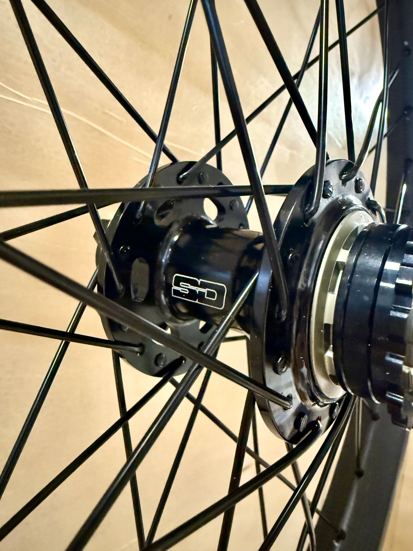 Pro 36h Dangergirl Carbon Wheelset