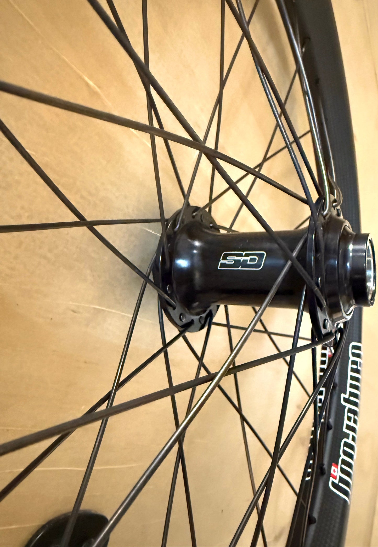 Pro 36h Dangerboy Carbon Wheelset (15mm rear)