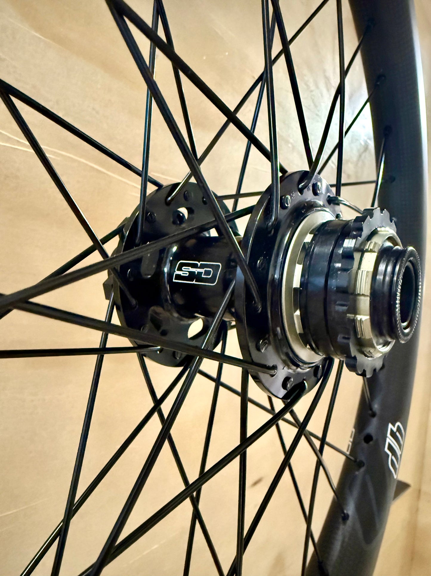 Pro Lite 36h Dangerboy Carbon Wheelset