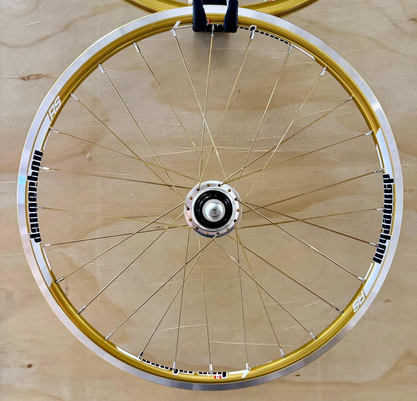 Mini 28h Dangerboy Wheelset Gold