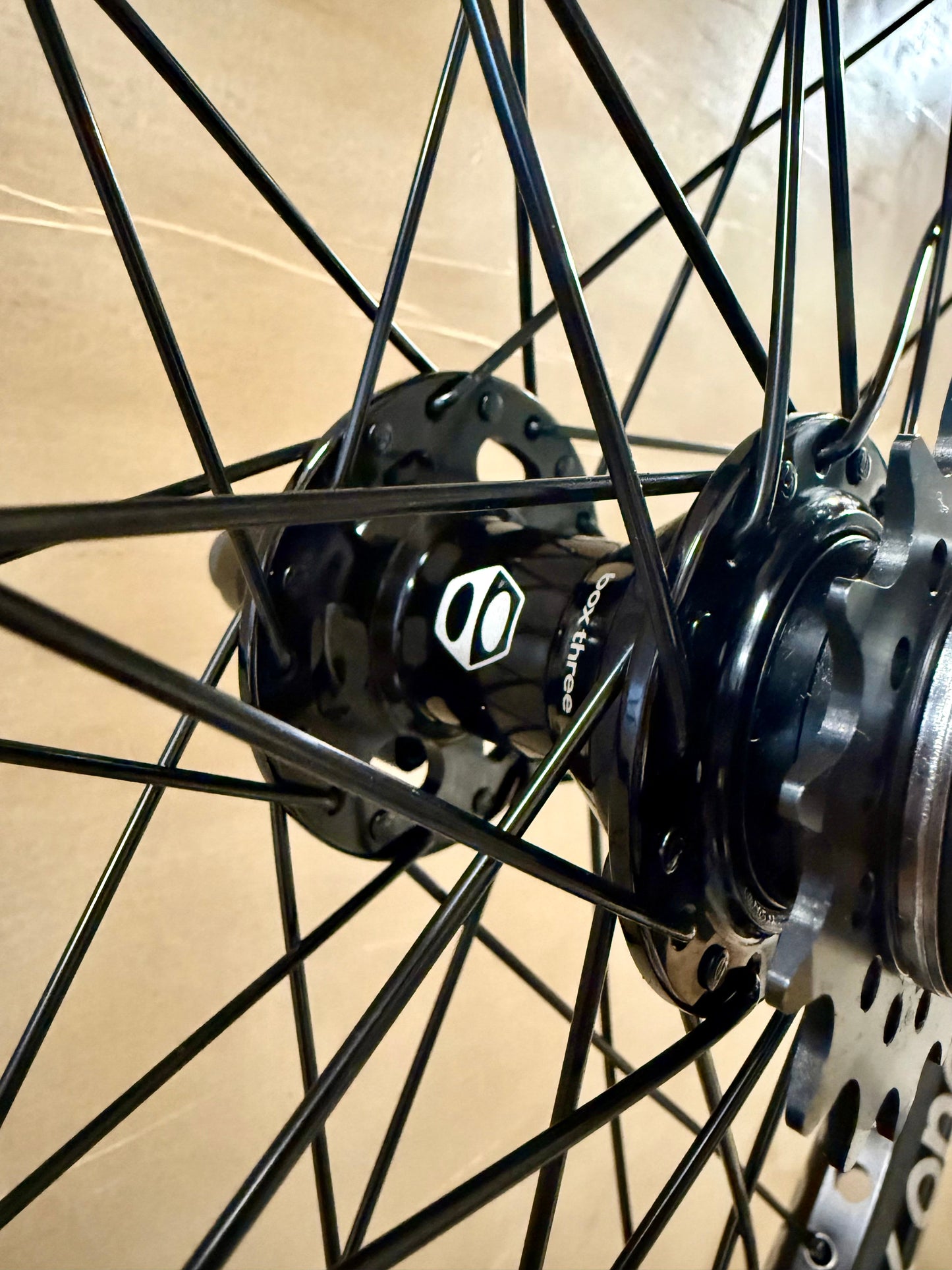 Pro 36h Box One Wheelset Black (Disc)