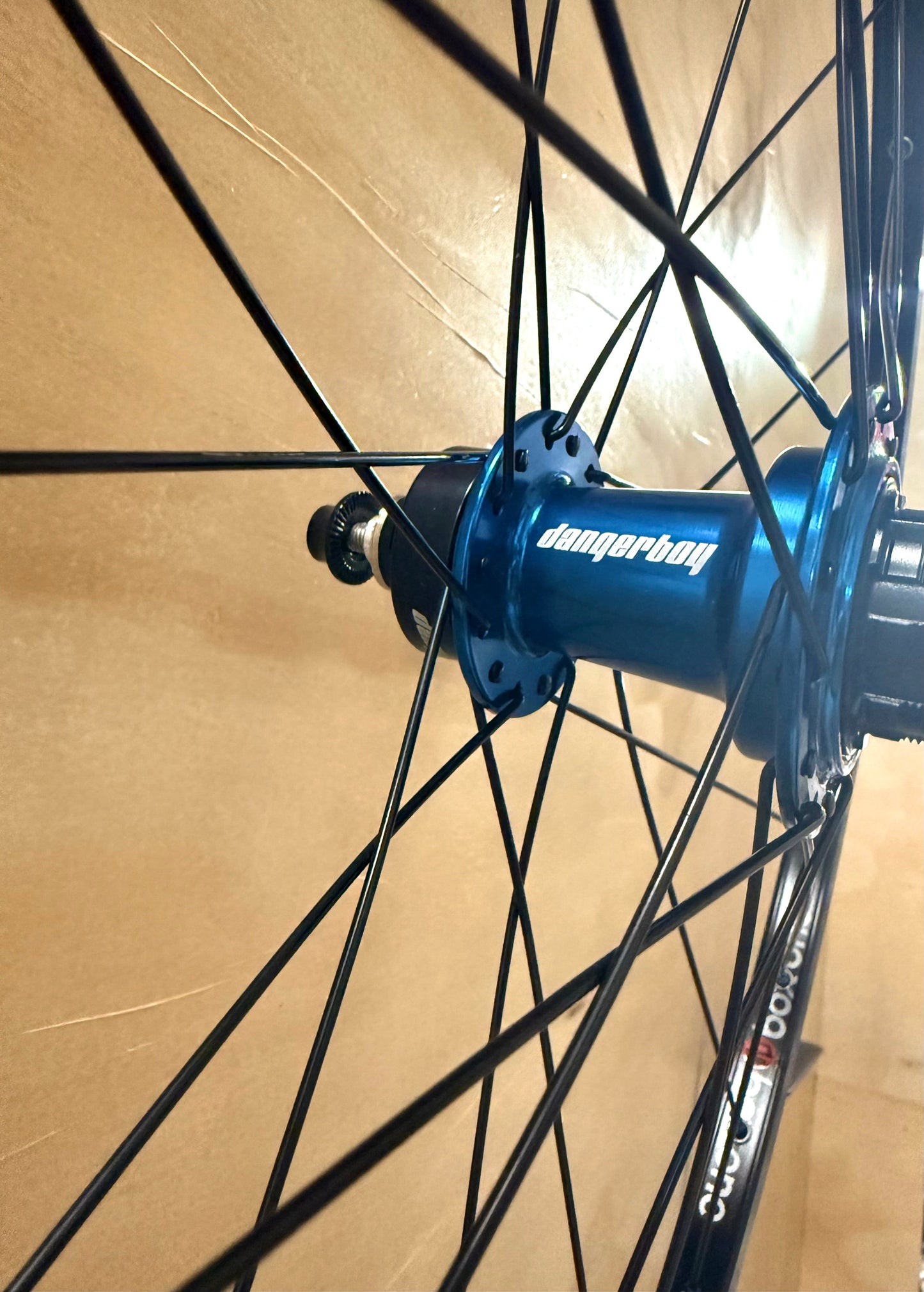 Expert 28h Box One Wheelset  Black