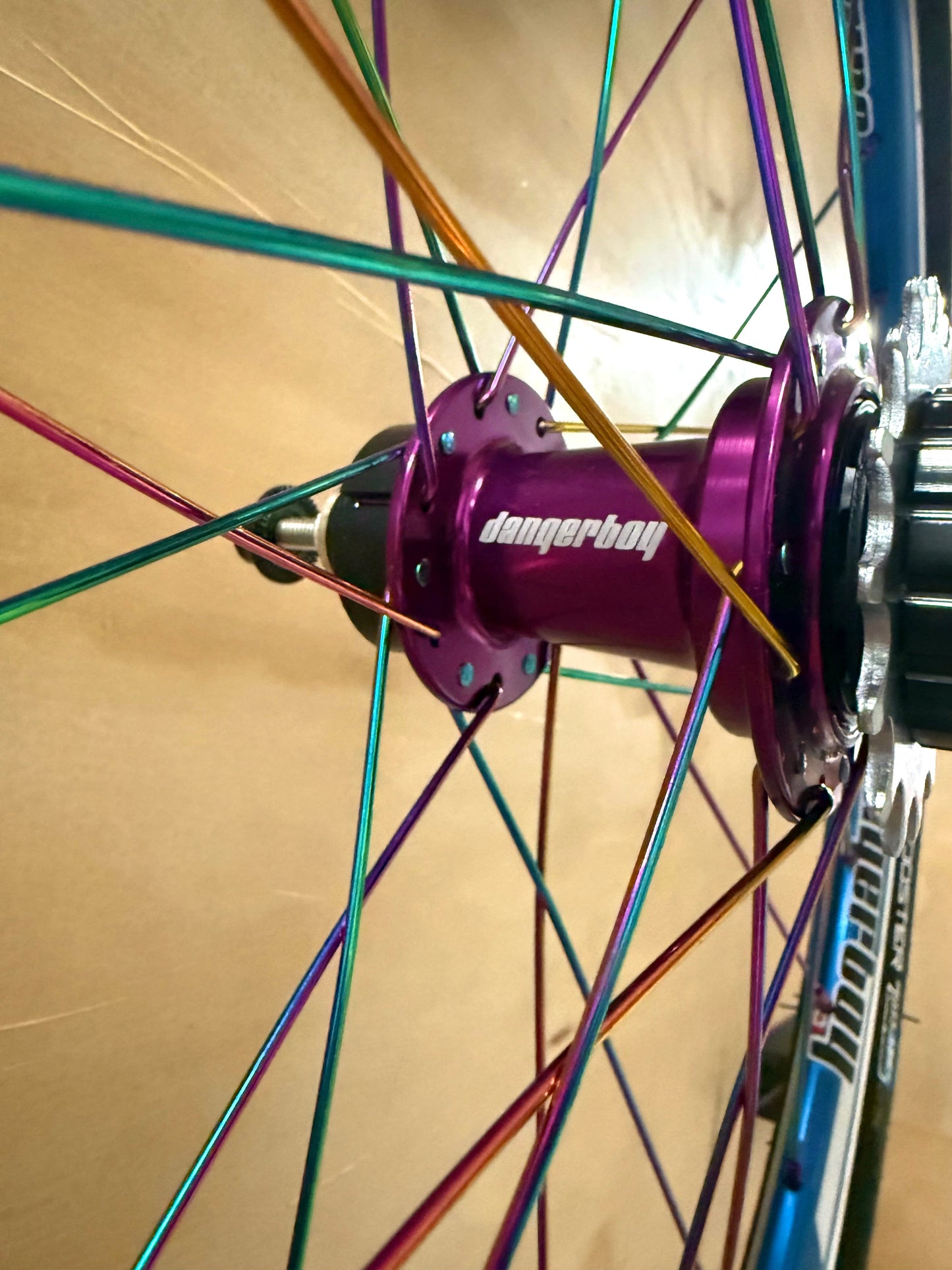 Expert 28h Dangerboy Wheelset Blue (With Tires)