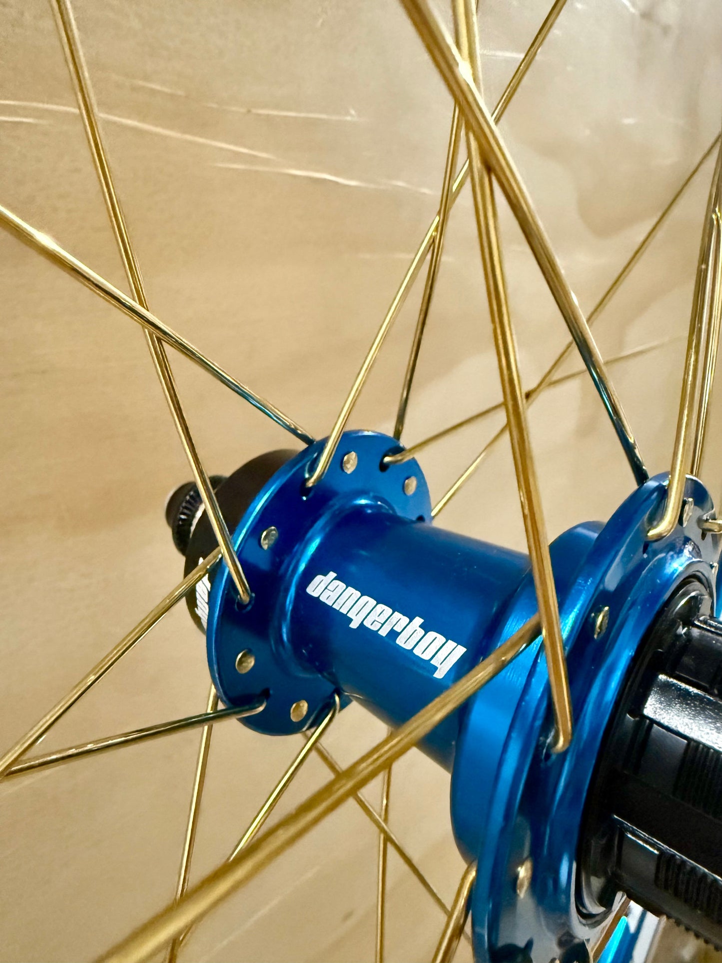 Expert 28h Dangerboy Wheelset Blue