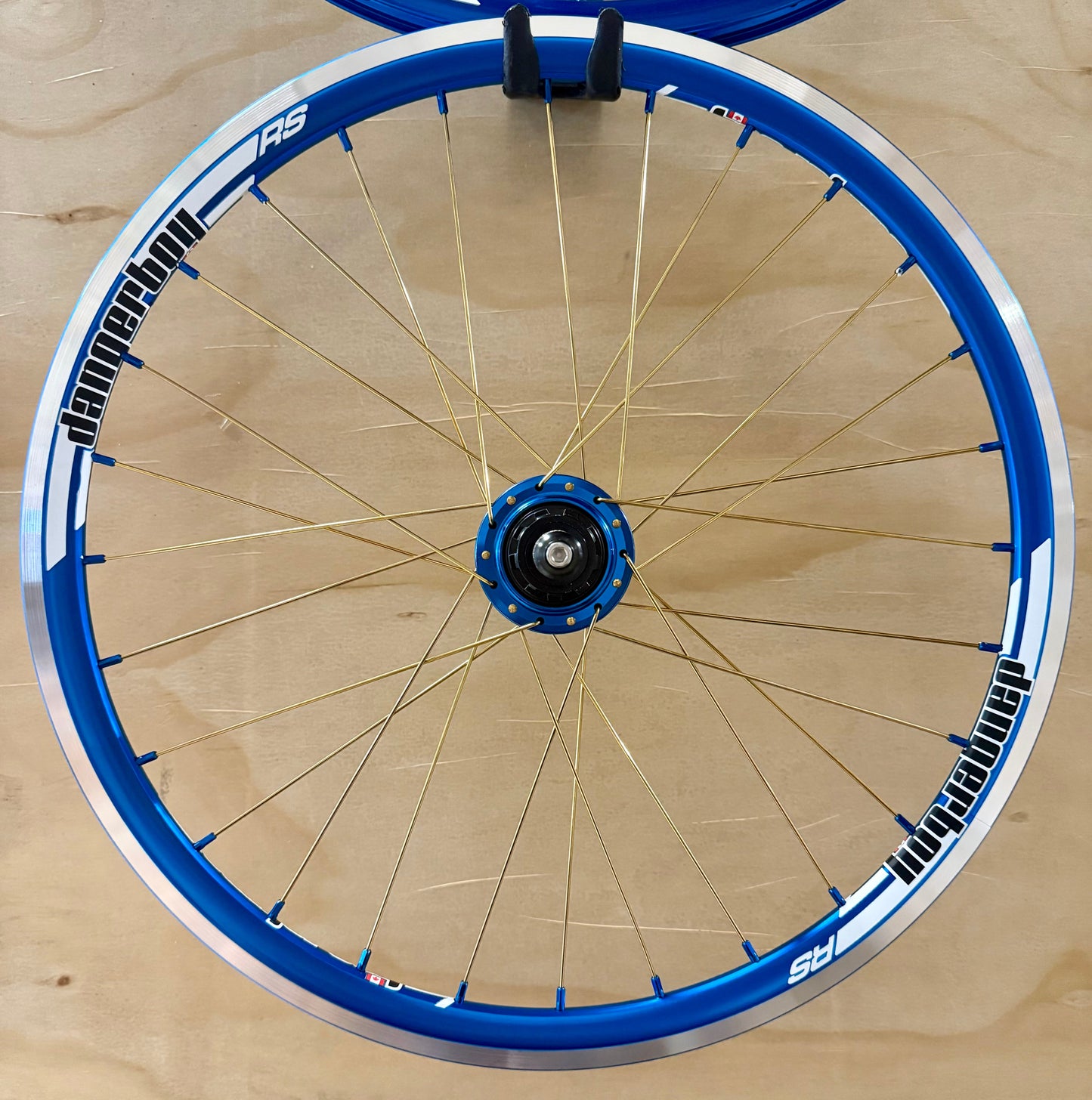 Expert 28h Dangerboy Wheelset Blue