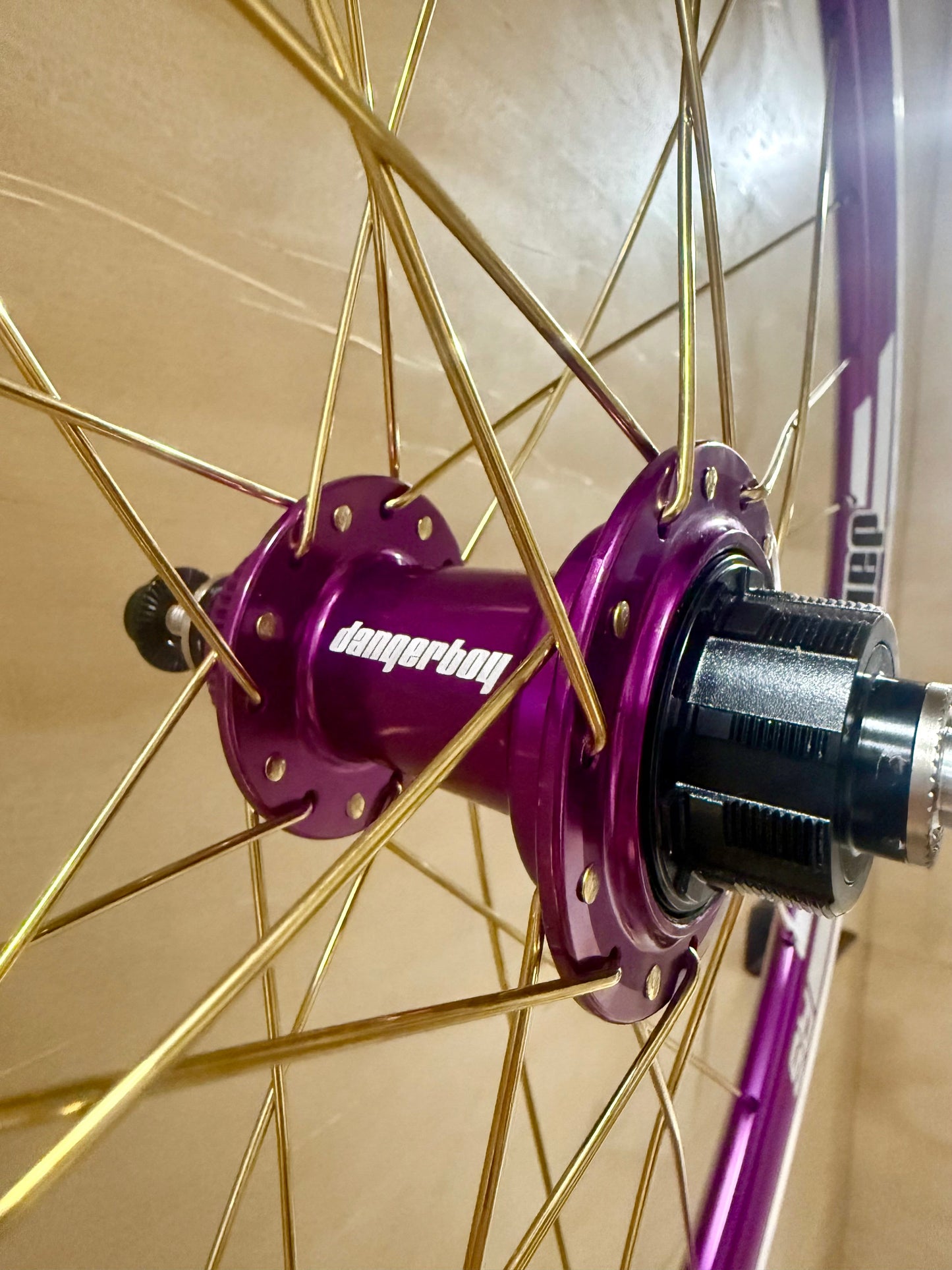 Expert 28h Dangerboy Wheelset Purple